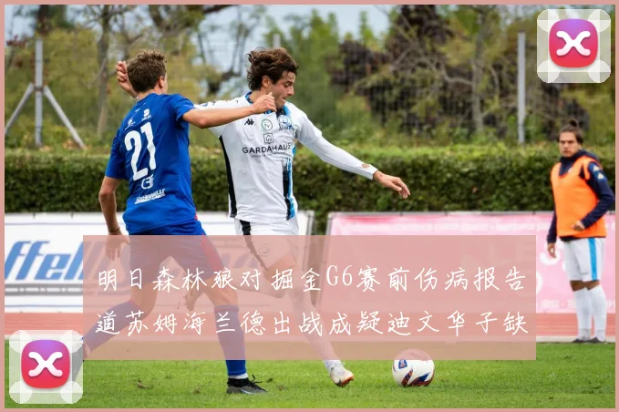 明日森林狼对掘金G6赛前伤病报告道苏姆海兰德出战成疑迪文华子缺阵